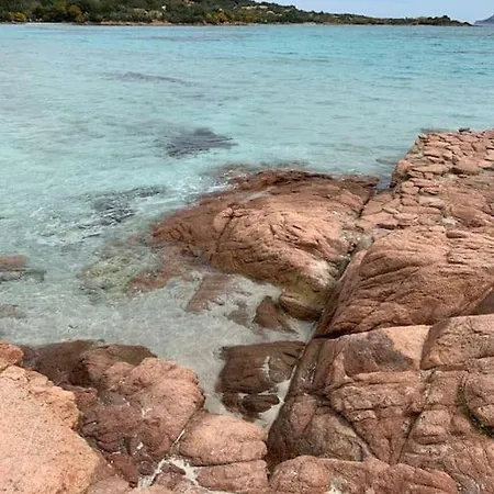 Palazzo Iolei - Zia Lidia *