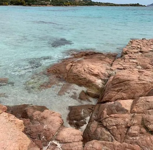 Palazzo Iolei - Zia Lidia *